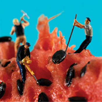 Watermelon seeders 150mm Square Greetings Card by Akiko Ida and Pierre Javelle