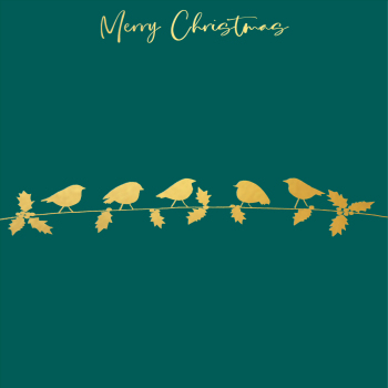 Holy Mackerel robins on a branch gold foiled luxury Christmas card - designed by Eloise Hall - 15.7 x 11cm - blank inside