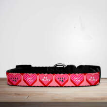 Valentine's Day Pink Retro Candy Hearts Dog/Puppy Collar - Small (29cm-46cm)