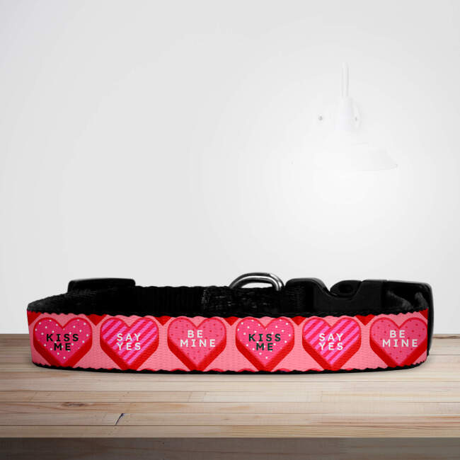 Valentine's Day Pink Retro Candy Hearts Dog/Puppy Collar - Small (29cm-46cm)