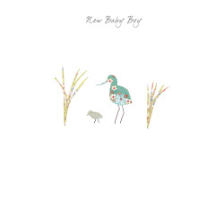Holy Mackerel avocet new baby boy card - designed by Eloise Hall - 15.7 x 11cm and blank inside