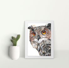 Owl - A4 Print - Mounted
