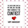 funny rude anniversary card, rude wife card, rude husband card, c*nt card, dickhead card, cheeky card, girlfriend, boyfriend, 15 designs - CUNTIEST