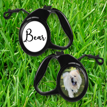 Personalised 5m Tangle Free Retractable Pet Lead