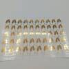 100 Champagne Flute Stickers for Weddings or Celebrations