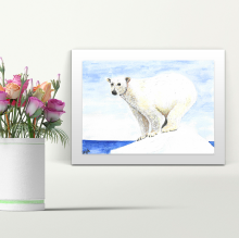 Polar Bear - A4 Print - Mounted