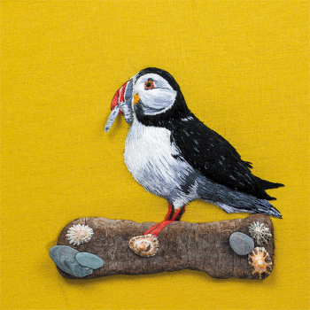 Perching Puffin 150mm Square Greetings Card by Sarah J Perry