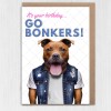 It's your birthday, go bonkers Staffy Staffordshire Bull Terrier dog, pet cute, funny birthday card (Animalyser) Size A6/A5/A4/Square - A6: Single card