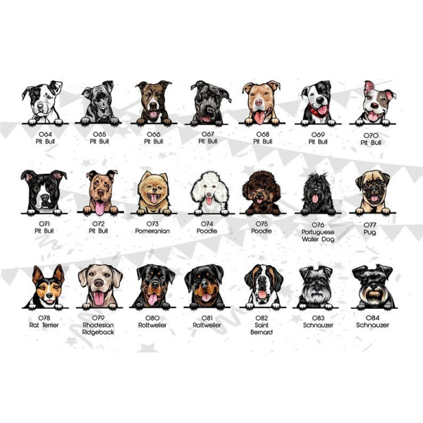 Personalised Bar Set - Dog Themed