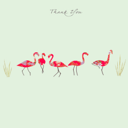 Flamingo Thank You Greeting Card