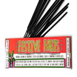 Festive Farts  Funny Smells Fragrance Sticks | Vegan | Aromatherapy | Funny Gift | Stocking Filler | Secret Santa