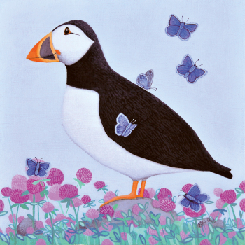 Holy Mackerel puffs of blue puffin themed art card for him or her - designed by artist Ailsa Black - 15cm square and blank inside for your message
