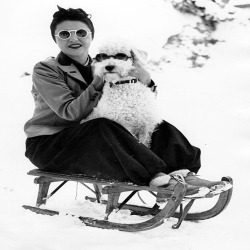 Woman with White Poodle - a 17.5 x 12.5cm Christmas Card from Holy Mackerel's Alternative Image Range of Festive Designs.