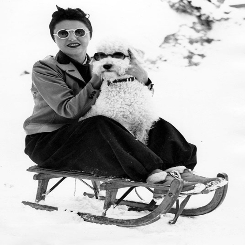 Woman with White Poodle - a 17.5 x 12.5cm Christmas Card from Holy Mackerel's Alternative Image Range of Festive Designs.