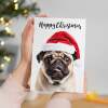 Christmas Card For Him or Her Christmas Card With A Dog Pug Dog Christmas Card For Anyone Friend or Relative Fun Christmas Card of a Dog - Large (5x7) / Blank Message