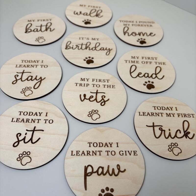 New Puppy Milestone Discs / Dog Lover New Dog gift / Reusuable Milestone Archievment Discs / Puppy Discs - Milestone Discs