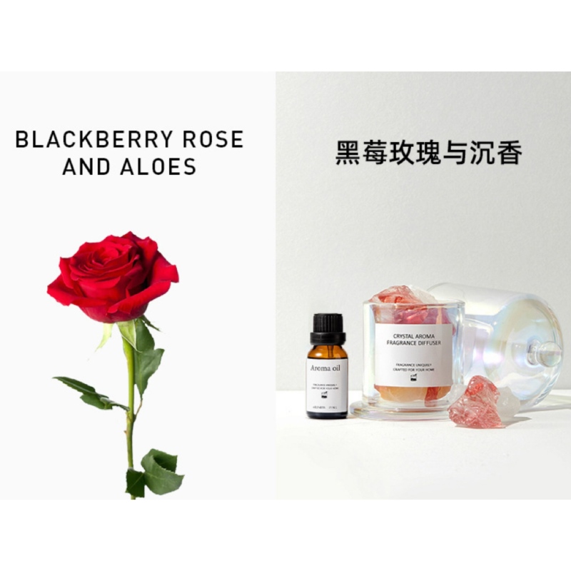 BLACKBERRY ROSE AND ALOES
