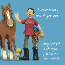 Holy Mackerel Padded saddles, a horse themed Erica Sturla male birthday greetings card, for son, husband, brother, friend etc. 15cm square, blank inside & made in the UK