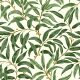 RUSKIN WILLOW