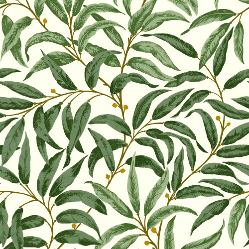 RUSKIN WILLOW