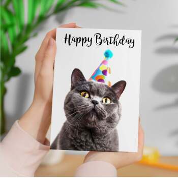 Birthday Card For Anyone Birthday Card For Friend Birthday Card For Her or For Him British Short Hair Cat Birthday Card For Son or Daughter