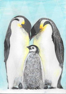 Emperor Penguin adults with baby - Personal Use License