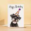 Birthday Card For Her Card For Friend Mum or Sister Birthday Card For Him Brother Dad Happy Birthday Card of Schnauzer Dog Fun Birthday Card - Large (5x7) / Blank Message