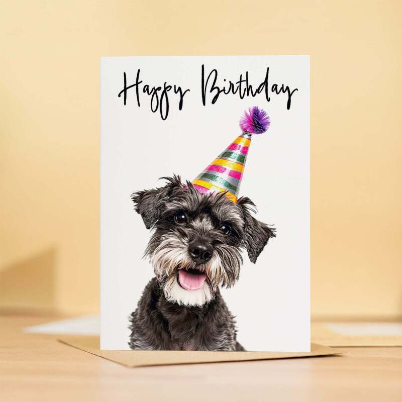 Birthday Card For Her Card For Friend Mum or Sister Birthday Card For Him Brother Dad Happy Birthday Card of Schnauzer Dog Fun Birthday Card - Large (5x7) / Blank Message