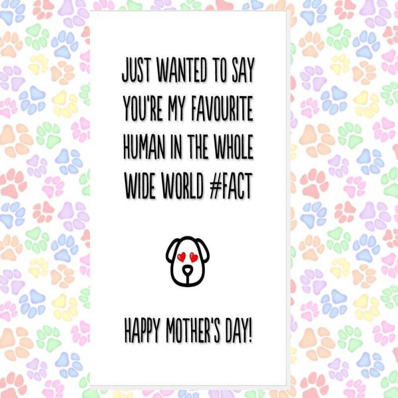 MOTHER'S DAY card from the dog, card from 2 dogs, funny mother's day card, card from the dogs, favourite human, best dog mum, thank you etc - LICK BITS - 1 DOG
