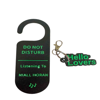 Niall Horan Door Sign and Keyring