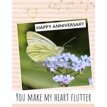Butterfly Card Anniversary Birthday Love Friendship