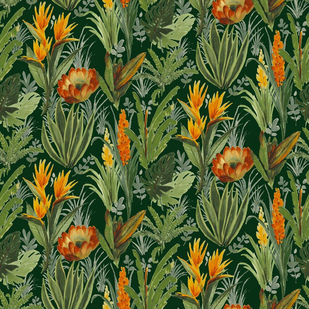 TAHITI-FOREST