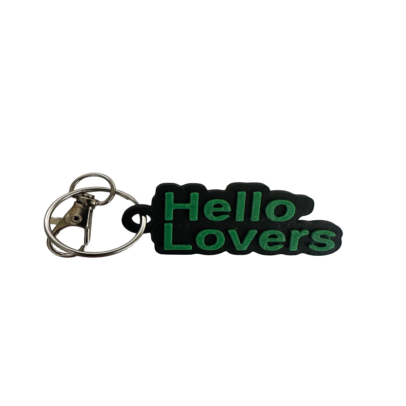 Niall Horan Door Sign and Keyring