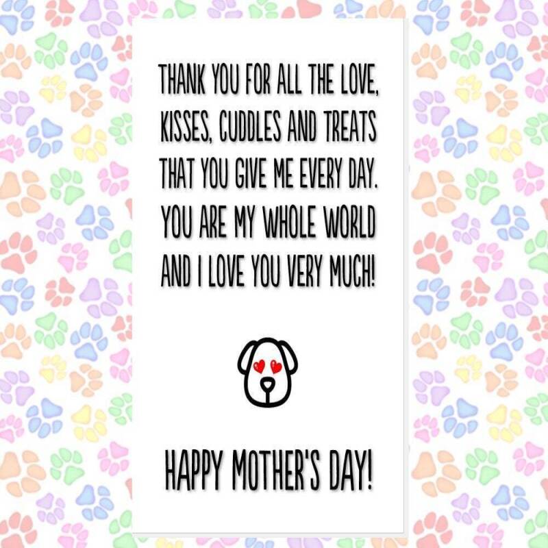MOTHER'S DAY card from the dog, card from 2 dogs, funny mother's day card, card from the dogs, favourite human, best dog mum, thank you etc - LICK BITS - 1 DOG