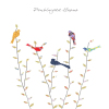 Spring Birds Penblwydd Hapus (Happy Birthday)