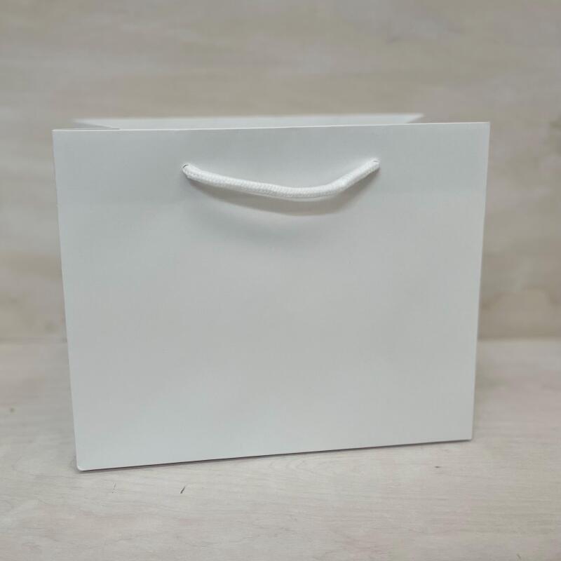 Plain Gift Bags for Personalisation / Wedding Bags / Bags for all occasions / White and Black Bags / Paper Gift Bag with Rope Handles - White - Small Landscape