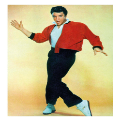 Holy Mackerel Elvis card, a vintage themed photographic Alternative Image blank greetings card, 126 x 177mm, printed in the UK on board from sustainable sources