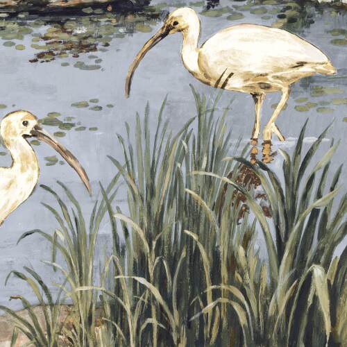 IBIS - SILVER