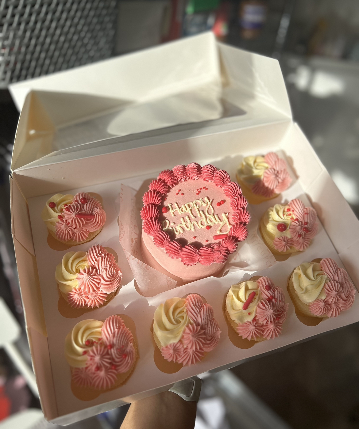 Bento Cake and Cupcakes Box