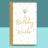 Funny Birthday Wanker Card - Birthday Card for Him or for Her - Sarcastic Card channeling Jay from The Inbetweeners