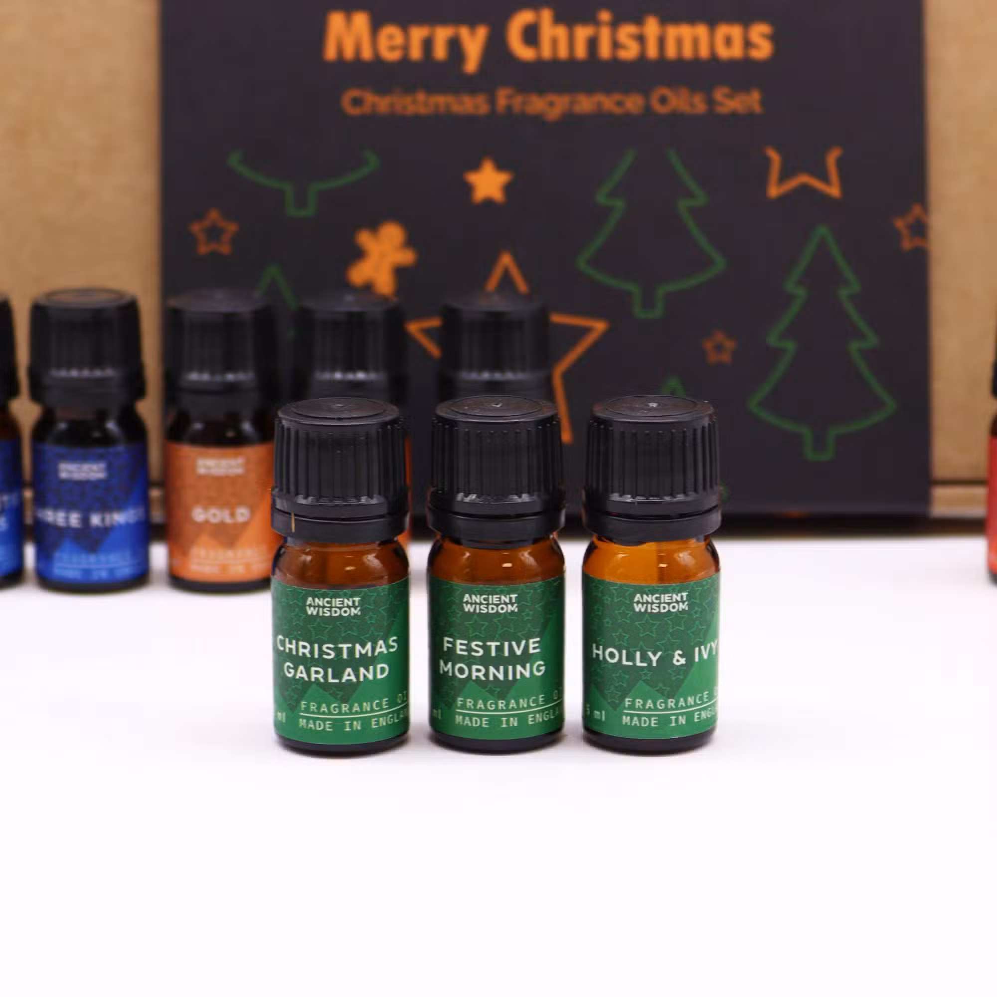 Holy Scents of Christmas Fragrance Oils Set - 12 Festive Oils