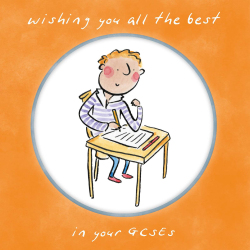 Holy Mackerel All the best in your GCSEs (male) exam good luck card by Rosie Brooks - blank inside - 15cm square