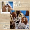Funny Card Set - Minimiam Confectionery Chaos - Tiny People Sweet Photography - Gru&szlig;karten Set UK