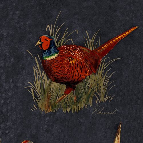 GAME BIRDS - GRAPHITE