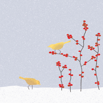 Holy Mackerel two birds and berries Christmas card - designed by Eloise Hall - 15.7 x 11cm - blank inside